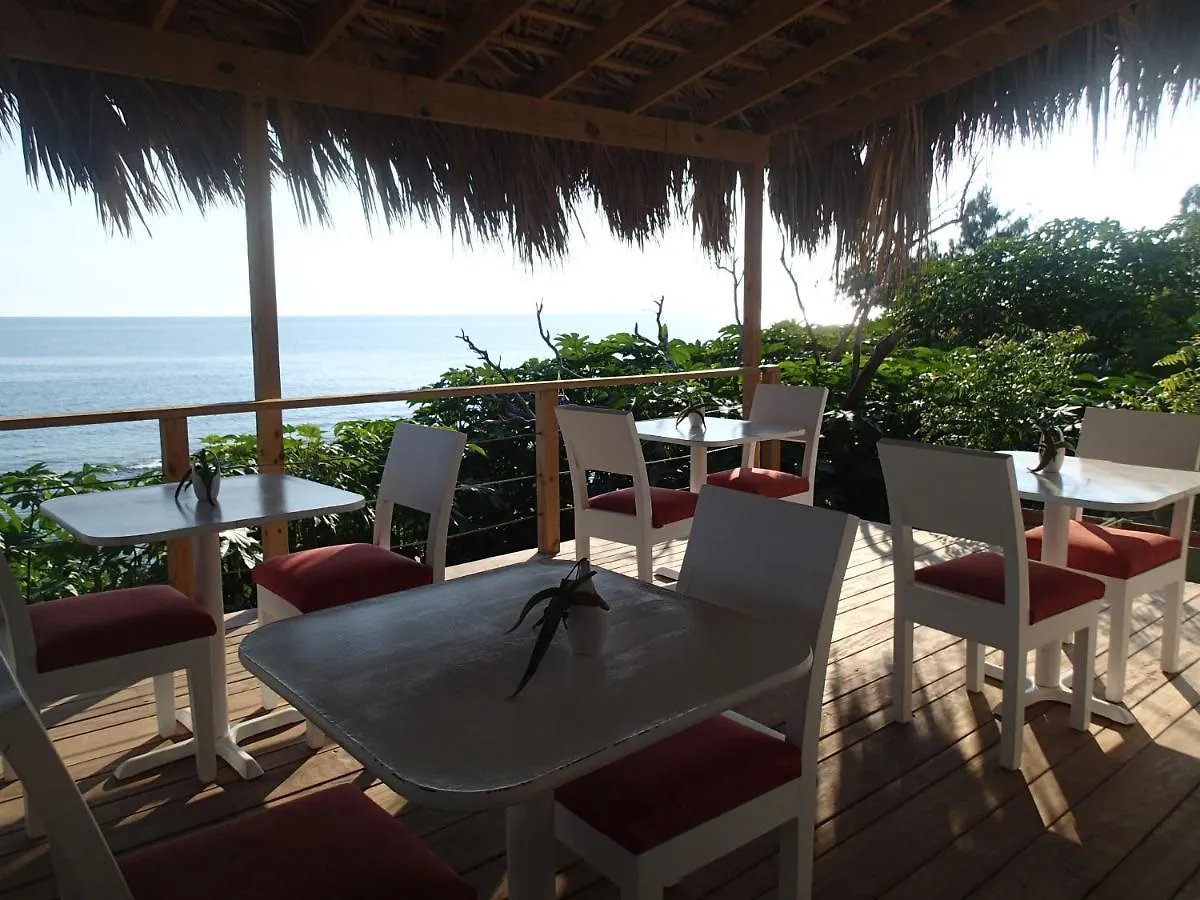77 West Boutique Hotel Treasure Beach
